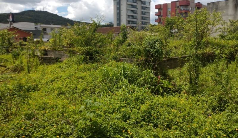 Foto 2 de 3: Terreno em leilão em Joinville - SC, bairro América — LOTE 001 IMÓVEL em Joinville