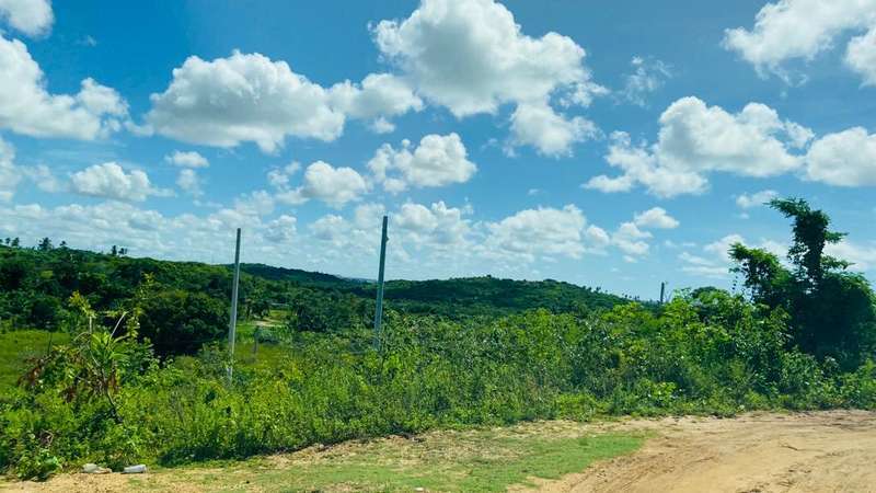 Area Rural em leilão em São Cristóvão - SE — LOTE 001 SÍTIO PITANGA - POVOADO TERRA DURA - SÃO CRISTÓVÃO/SE