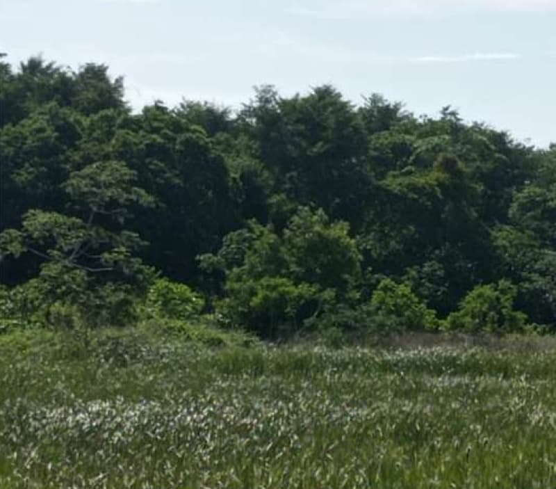 Terreno em leilão em Aracaju - SE — LOTE 001 LOTE - LOTEAMENTO JARDIM RECREIO - BAIRRO SANTA MARIA - ARACAJU/SE