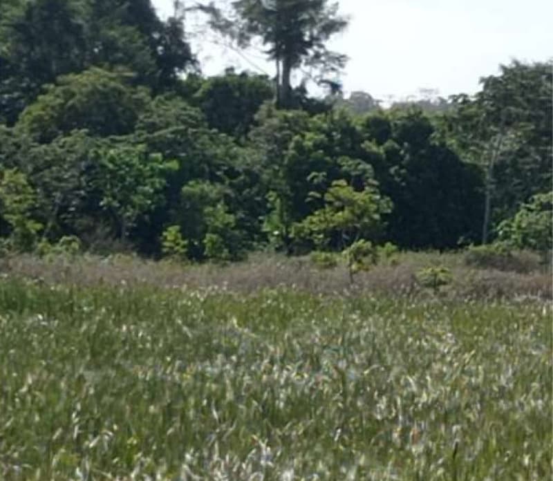 Foto 2 de 4: Terreno em leilão em Aracaju - SE — LOTE 001 LOTE - LOTEAMENTO JARDIM RECREIO - BAIRRO SANTA MARIA - ARACAJU/SE