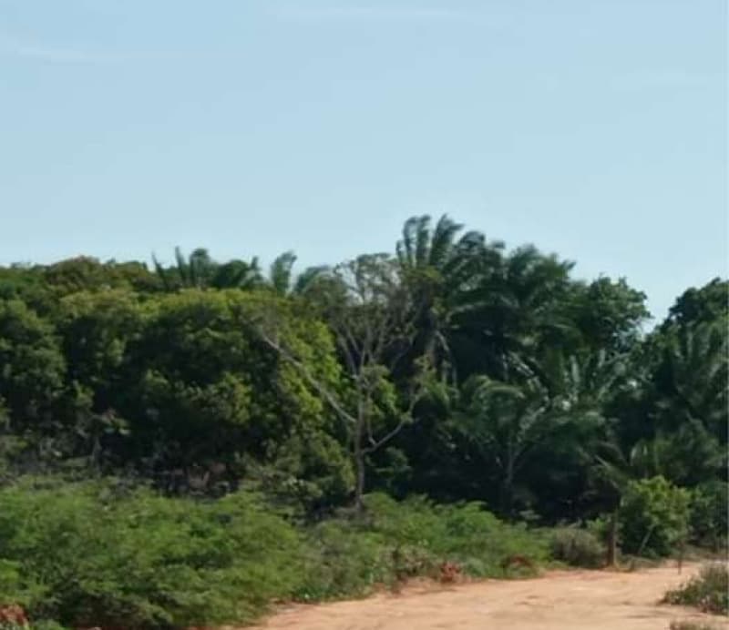 Foto 3 de 4: Terreno em leilão em Aracaju - SE — LOTE 001 LOTE - LOTEAMENTO JARDIM RECREIO - BAIRRO SANTA MARIA - ARACAJU/SE