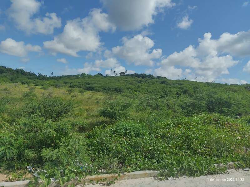 Foto 3 de 5: Imóvel em leilão em São Cristóvão - SE — LOTE 001 EMPREENDIMENTO DENOMINADO "NOVA VISTA"