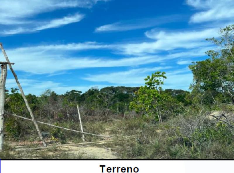 Foto 1 de 5: Terreno em leilão em Santa Cruz Cabrália - BA — LOTE 001-3 TERRENO URBANO - “CAMPO DO SAIBU” - SANTA CRUZ DE CABRÁLIA/BA