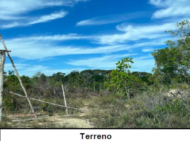 Foto 3 de 5: Terreno em leilão em Santa Cruz Cabrália - BA — LOTE 001-2 TERRENO URBANO - “CAMPO DO SAIBU” - SANTA CRUZ DE CABRÁLIA/BA