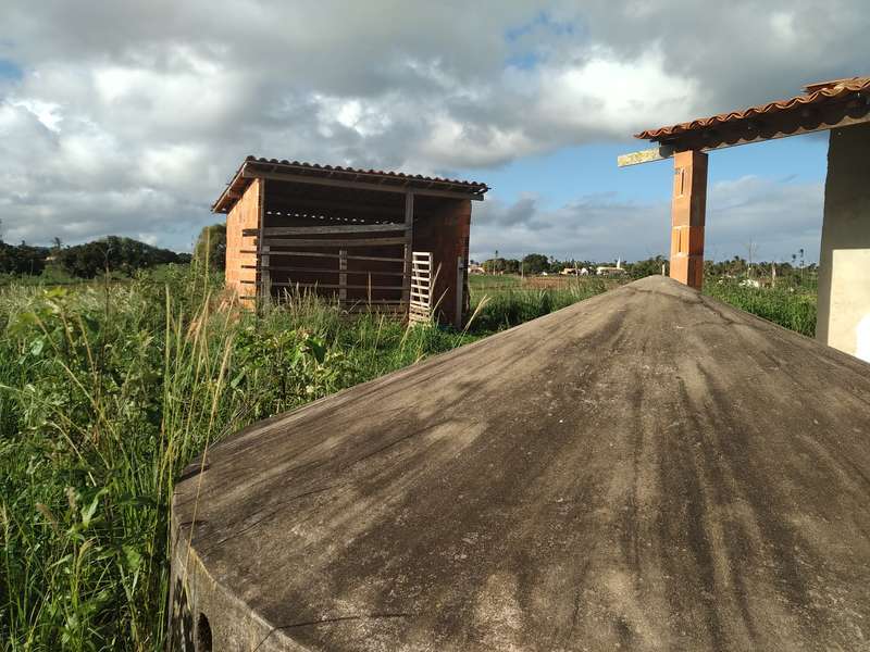 Foto 13 de 15: Area Rural em leilão em Simão Dias - SE — LOTE 001 PROPRIEDADE RURAL - POVOADO PARACATU DO MEIO - SIMÃO DIAS/SE