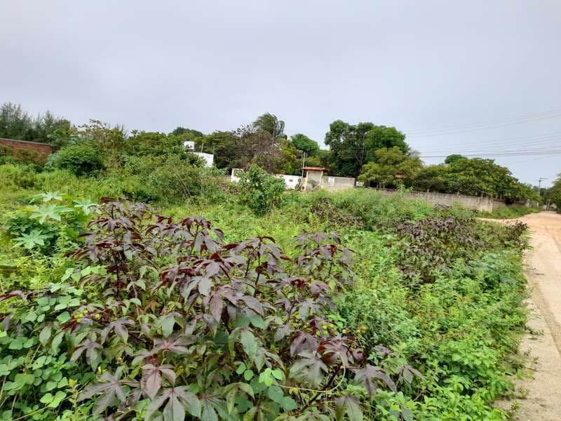 Foto 10 de 12: Terreno em leilão em Aracaju - SE — LOTE 001 IMÓVEL - RUA ANÍZIO SANTANA - ZONA DE EXPANSÃO - ARACAJU/SE
