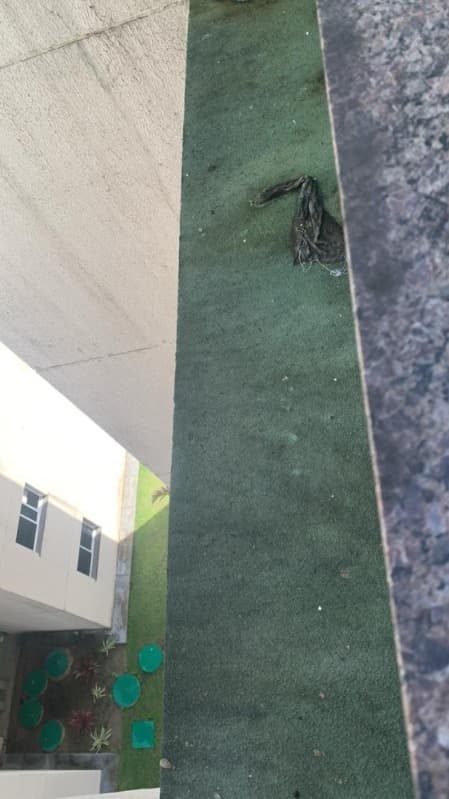 Foto 3 de 33: Apartamento em leilão em São Cristóvão - SE — LOTE 001 IMÓVEL - APARTAMENTO - CONDOMÍNIO RESIDENCIAL ALTO SANTA LÚCIA - SÃO CRISTÓVÃO/SE