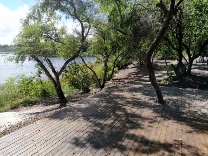 Foto 8 de 16: Terreno em leilão em Indiaroba - SE — LOTE 006 LOTE 01, QUADRA 18