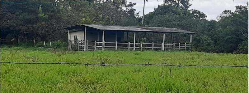 Foto 1 de 13: Area Rural em leilão em Areia Branca - SE — LOTE 001 IMÓVEL - ÁREA RURAL - "SÍTIO MATINHA" - AREIA BRANCA/SE