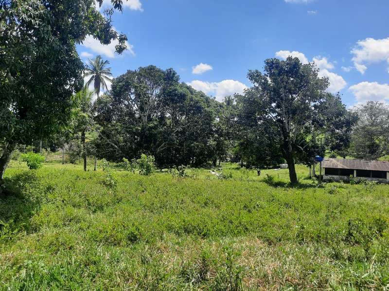 Foto 4 de 13: Area Rural em leilão em Areia Branca - SE — LOTE 001 IMÓVEL - ÁREA RURAL - "SÍTIO MATINHA" - AREIA BRANCA/SE