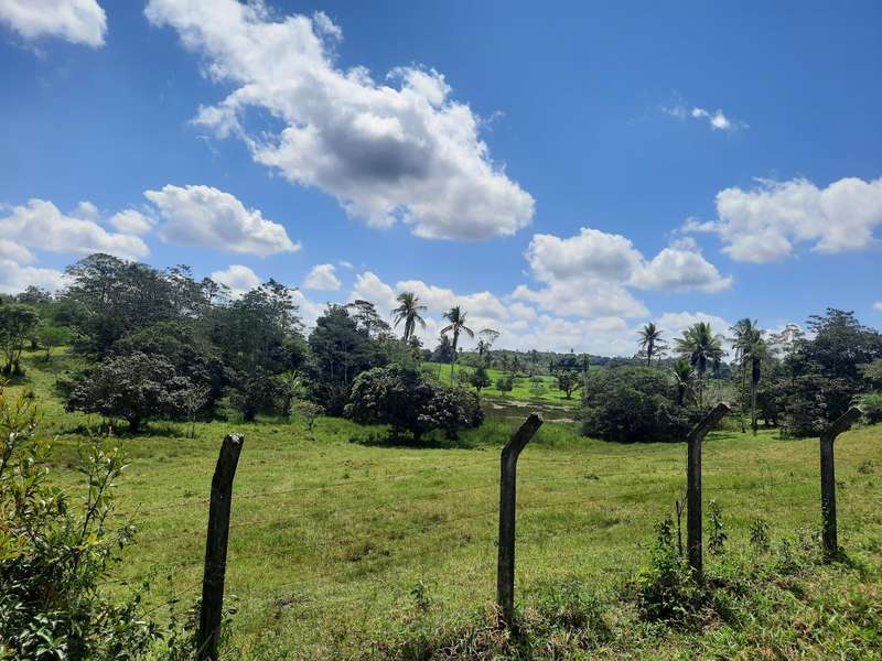 Foto 5 de 13: Area Rural em leilão em Areia Branca - SE — LOTE 001 IMÓVEL - ÁREA RURAL - "SÍTIO MATINHA" - AREIA BRANCA/SE