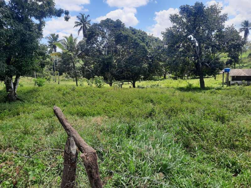 Foto 7 de 13: Area Rural em leilão em Areia Branca - SE — LOTE 001 IMÓVEL - ÁREA RURAL - "SÍTIO MATINHA" - AREIA BRANCA/SE