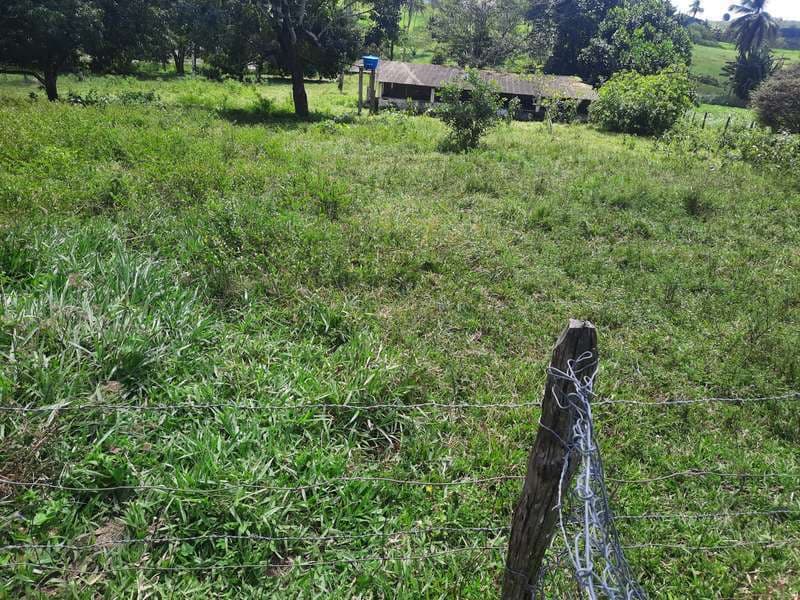 Foto 8 de 13: Area Rural em leilão em Areia Branca - SE — LOTE 001 IMÓVEL - ÁREA RURAL - "SÍTIO MATINHA" - AREIA BRANCA/SE