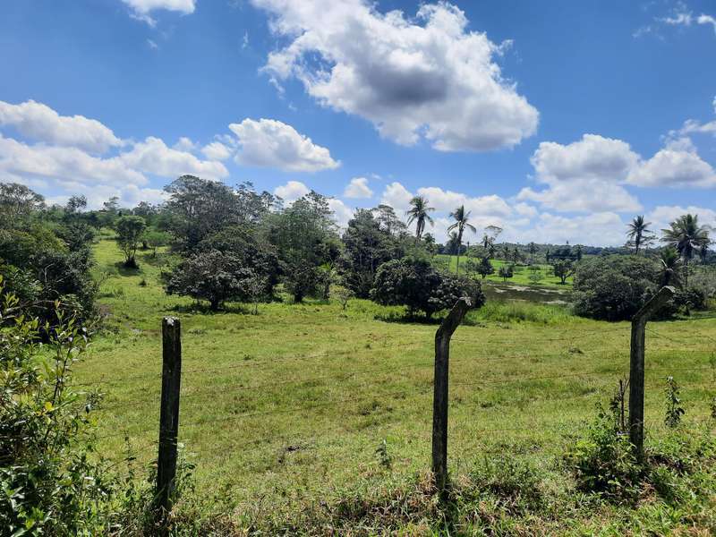 Foto 9 de 13: Area Rural em leilão em Areia Branca - SE — LOTE 001 IMÓVEL - ÁREA RURAL - "SÍTIO MATINHA" - AREIA BRANCA/SE