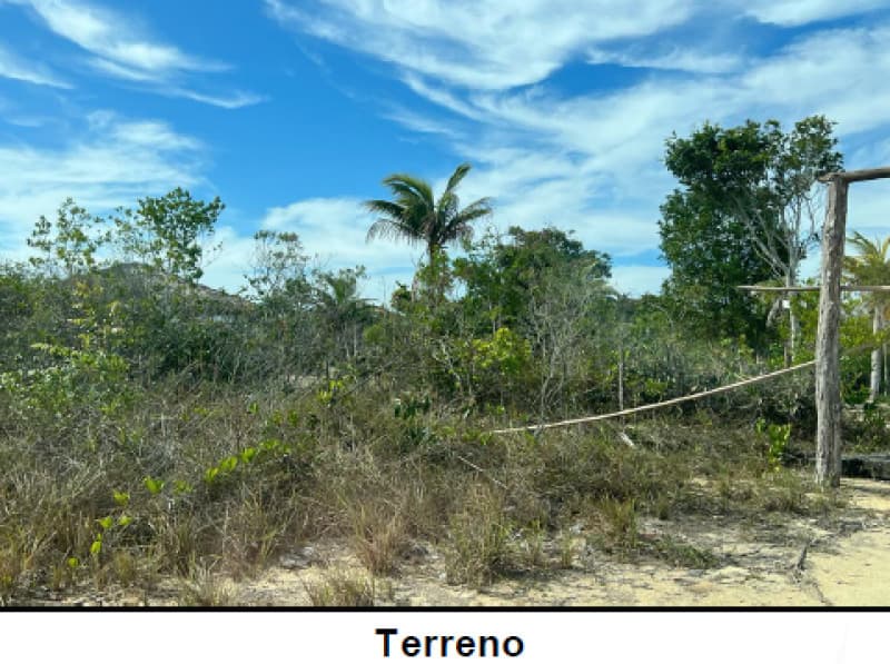 Foto 1 de 8: Terreno em leilão em Santa Cruz Cabrália - BA — LOTE 008 IMÓVEL - TERRENO URBANO - SANTA CRUZ DE CABRÁLIA/BA