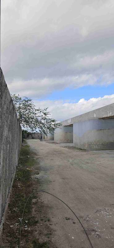 Foto 13 de 29: Area Rural em leilão em Feira Nova - SE — LOTE 002 Imóvel