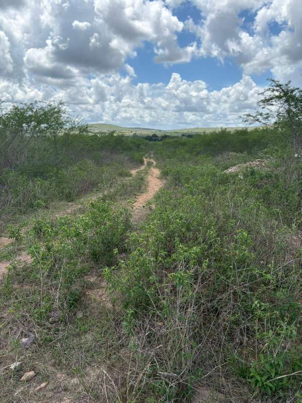 Foto 1 de 10: Terreno em leilão em Lagarto - SE — LOTE 002 ÁREA DE TERRA - POVOADO ITAPERINHA - LAGARTO/SE