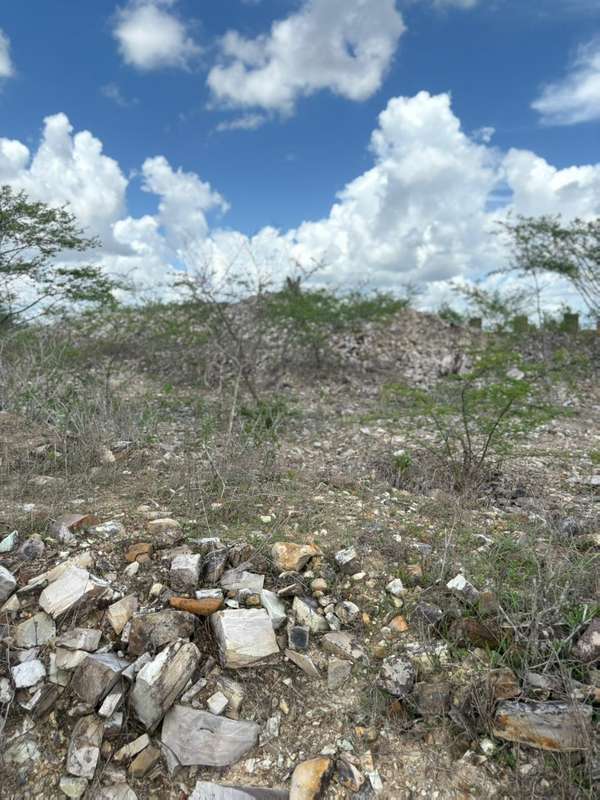 Foto 2 de 10: Terreno em leilão em Lagarto - SE — LOTE 002 ÁREA DE TERRA - POVOADO ITAPERINHA - LAGARTO/SE
