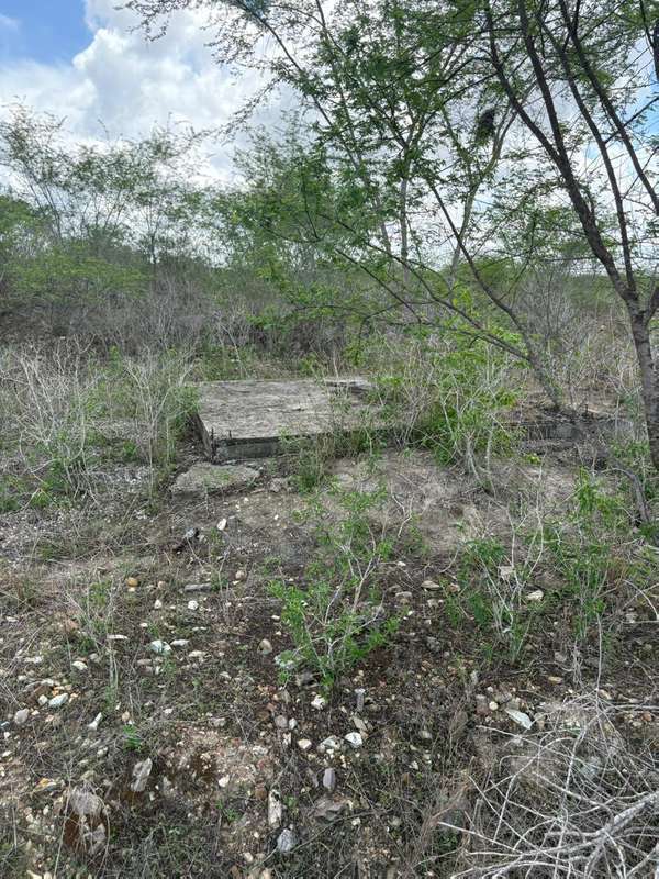 Foto 3 de 10: Terreno em leilão em Lagarto - SE — LOTE 002 ÁREA DE TERRA - POVOADO ITAPERINHA - LAGARTO/SE