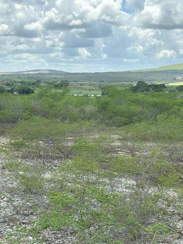 Foto 8 de 10: Terreno em leilão em Lagarto - SE — LOTE 002 ÁREA DE TERRA - POVOADO ITAPERINHA - LAGARTO/SE