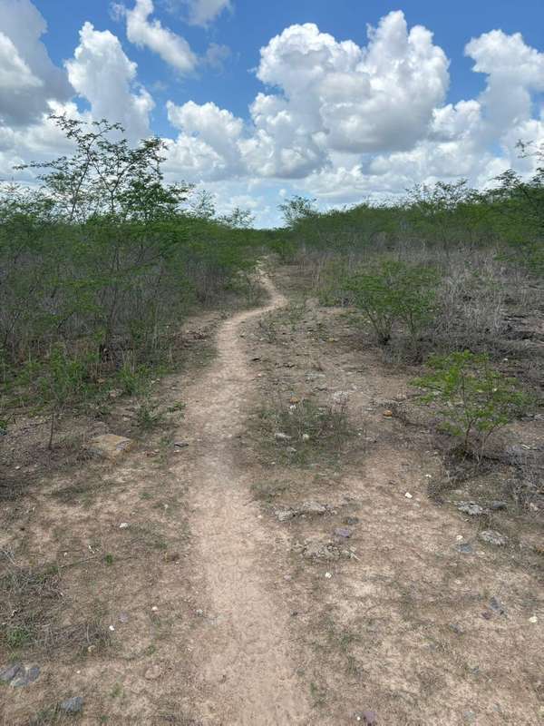 Foto 9 de 10: Terreno em leilão em Lagarto - SE — LOTE 002 ÁREA DE TERRA - POVOADO ITAPERINHA - LAGARTO/SE