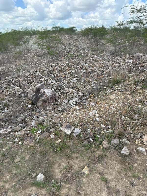 Foto 10 de 10: Terreno em leilão em Lagarto - SE — LOTE 002 ÁREA DE TERRA - POVOADO ITAPERINHA - LAGARTO/SE