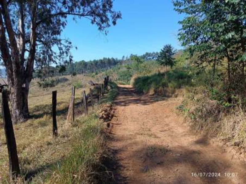 Foto 5 de 12: Area Rural em leilão em Bragança Paulista - SP — LOTE 001 Gleba de terras com 235.559,17m2 (67,13% de uma gleba de 350.900,00m2) - 800 m da Estrada M