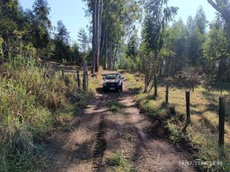Foto 8 de 12: Area Rural em leilão em Bragança Paulista - SP — LOTE 001 Gleba de terras com 235.559,17m2 (67,13% de uma gleba de 350.900,00m2) - 800 m da Estrada M