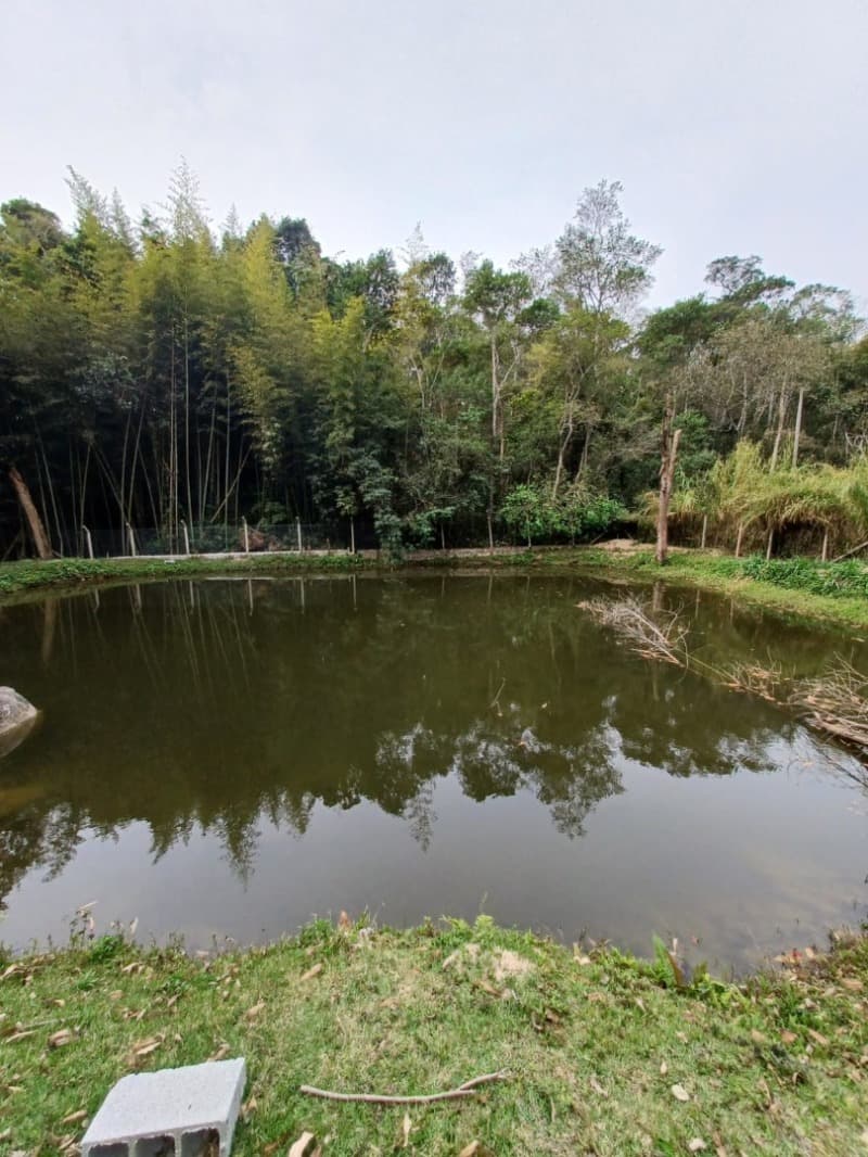 Foto 9 de 23: Area Rural em leilão em Cotia - SP — LOTE 001 SÍTIO EM CAUCAIA DO ALTO/COTIA - 12.833,00M² DE ÁREA DE TERRENO