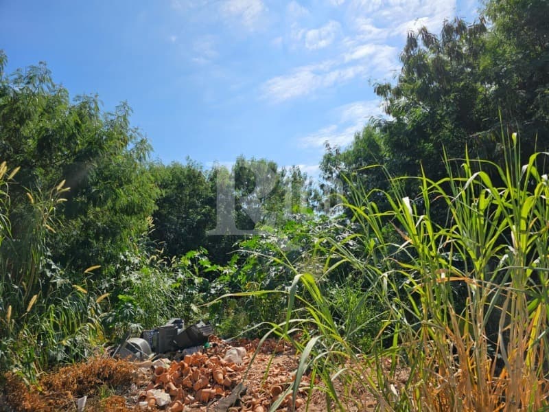 Foto 2 de 6: Terreno em leilão em São José Do Rio Pardo - SP — LOTE 001 TERRENO SEM ÁREA CONSTRUÍDA