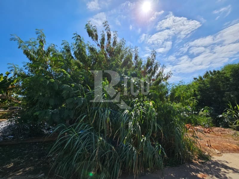 Foto 4 de 6: Terreno em leilão em São José Do Rio Pardo - SP — LOTE 001 TERRENO SEM ÁREA CONSTRUÍDA