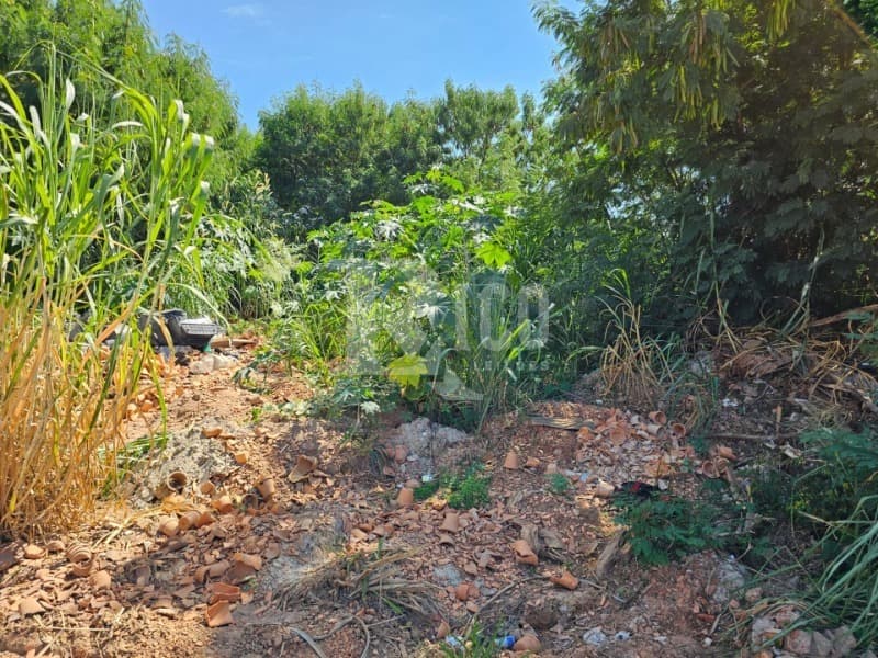 Foto 6 de 6: Terreno em leilão em São José Do Rio Pardo - SP — LOTE 001 TERRENO SEM ÁREA CONSTRUÍDA