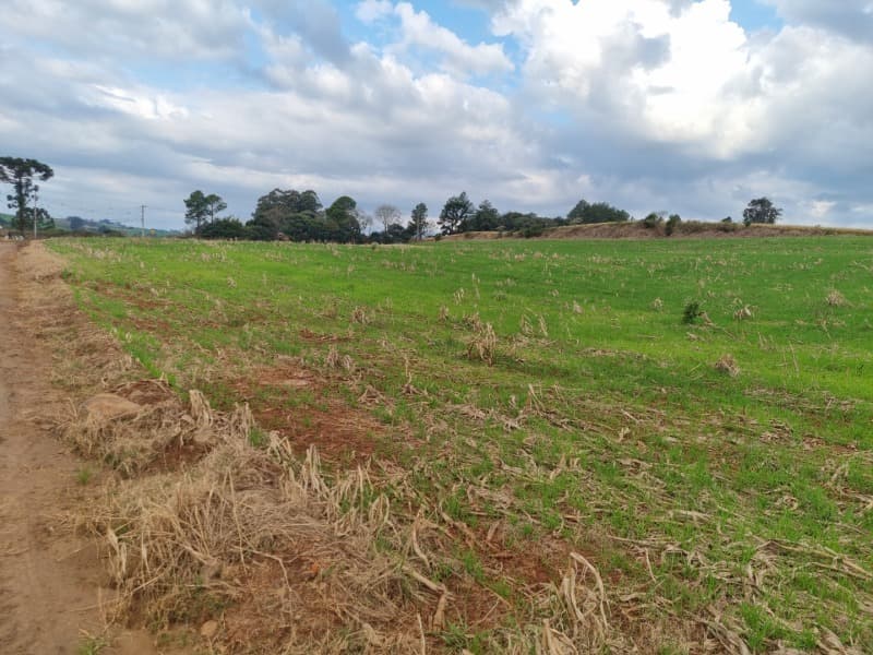 Foto 4 de 24: Area Rural em leilão em Erechim - RS — LOTE 001-4 Imóvel