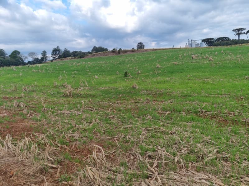 Foto 1 de 24: Area Rural em leilão em Erechim - RS — LOTE 001-4 Imóvel