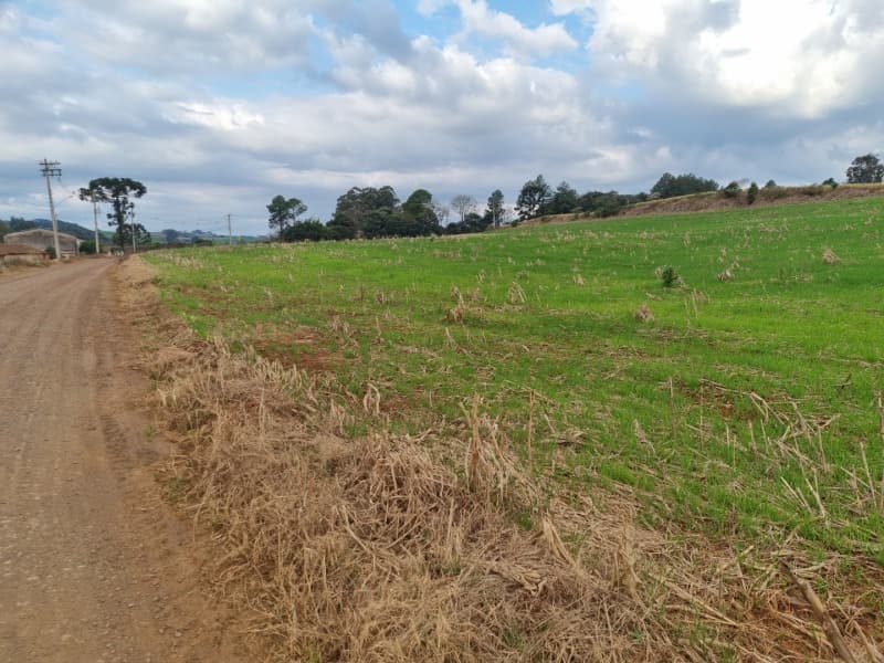 Foto 7 de 24: Area Rural em leilão em Erechim - RS — LOTE 001-4 Imóvel