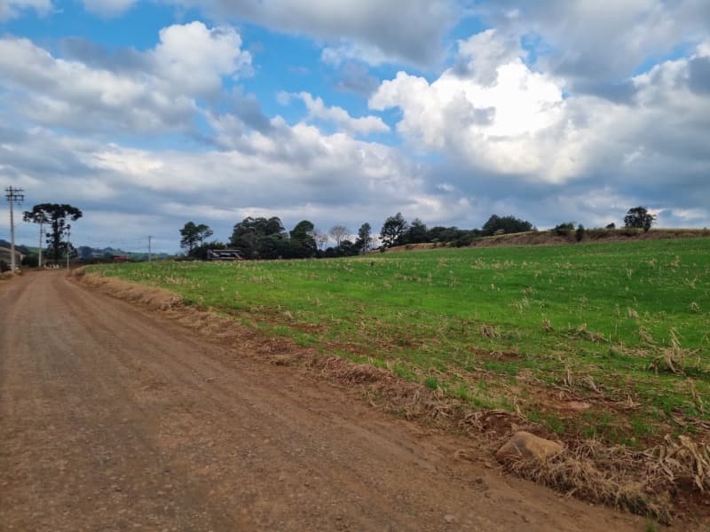 Foto 8 de 24: Area Rural em leilão em Erechim - RS — LOTE 001-4 Imóvel