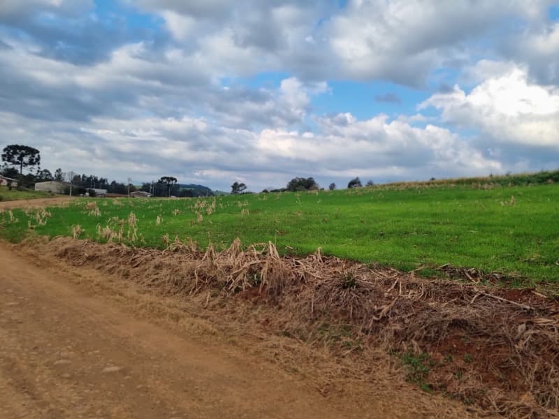 Foto 10 de 24: Area Rural em leilão em Erechim - RS — LOTE 001-4 Imóvel
