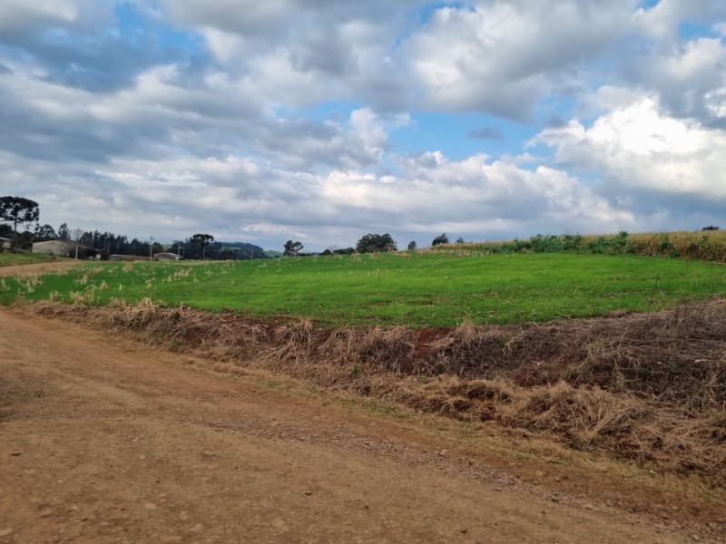 Foto 11 de 24: Area Rural em leilão em Erechim - RS — LOTE 001-4 Imóvel