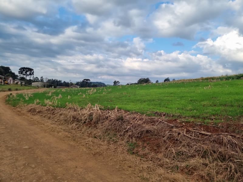 Foto 12 de 24: Area Rural em leilão em Erechim - RS — LOTE 001-4 Imóvel
