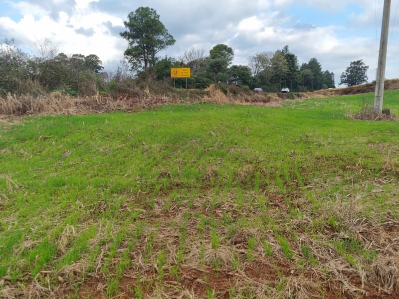 Foto 14 de 24: Area Rural em leilão em Erechim - RS — LOTE 001-4 Imóvel