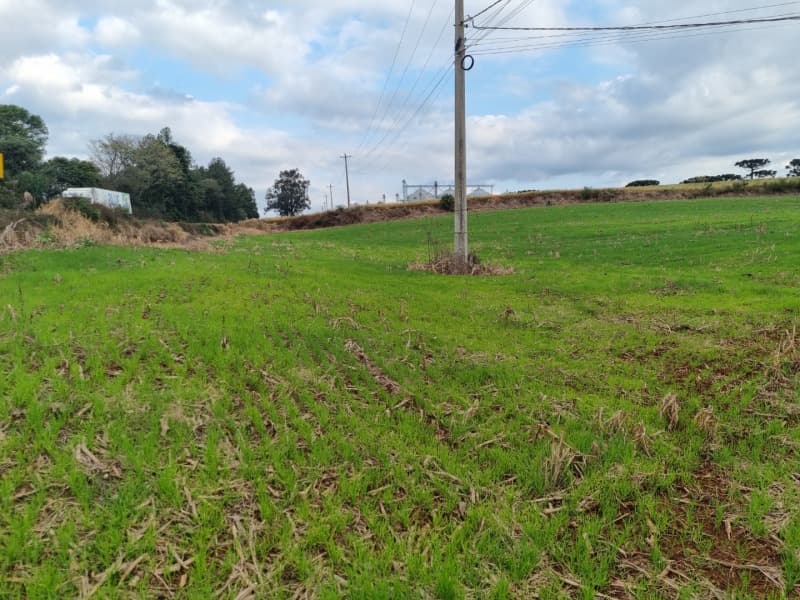 Foto 15 de 24: Area Rural em leilão em Erechim - RS — LOTE 001-4 Imóvel