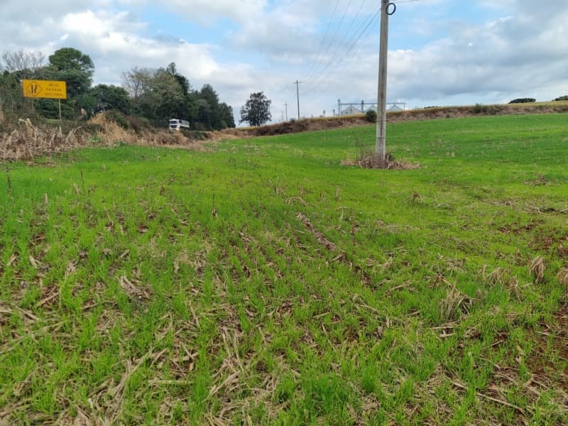 Foto 16 de 24: Area Rural em leilão em Erechim - RS — LOTE 001-4 Imóvel
