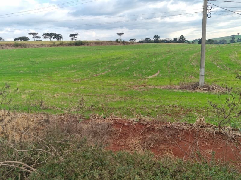 Foto 19 de 24: Area Rural em leilão em Erechim - RS — LOTE 001-4 Imóvel