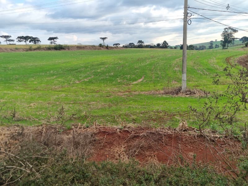 Foto 20 de 24: Area Rural em leilão em Erechim - RS — LOTE 001-4 Imóvel