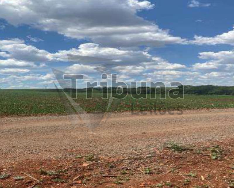 Area Rural em leilão em Cândido Mota - SP — LOTE 003 Área rural em Cândido Mota