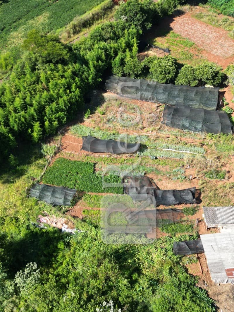 Foto 4 de 18: Casa em leilão em Carazinho - RS — LOTE 001 FRAÇÃO DE TERRAS DE CULTURA, com a área de 47.555,72m²