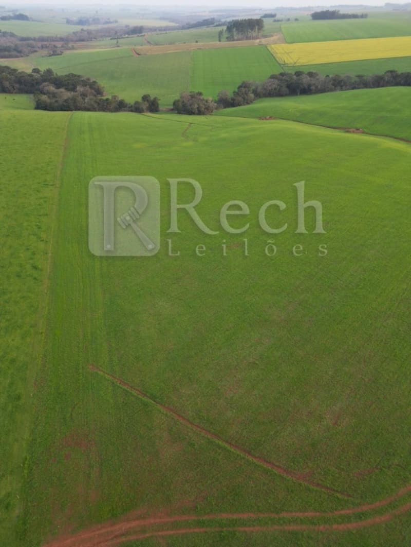 Terreno em leilão em Tio Hugo - RS — LOTE 001 UMA PARTE DE TERRAS DE CULTURA, com área de 30.000,00m²