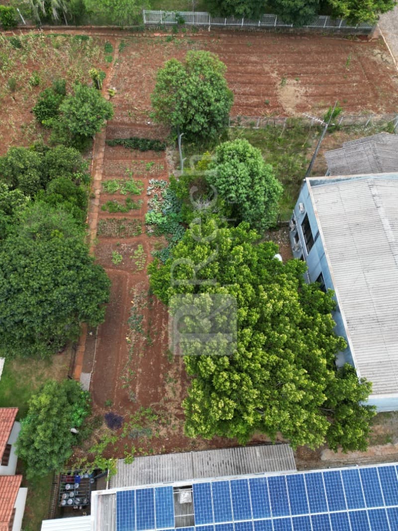 Foto 4 de 9: Terreno em leilão em Tio Hugo - RS — LOTE 001 TERRENO URBANO, ENCRAVADO, COM ÁREA DE 583,33M², EM TIO HUGO/RS