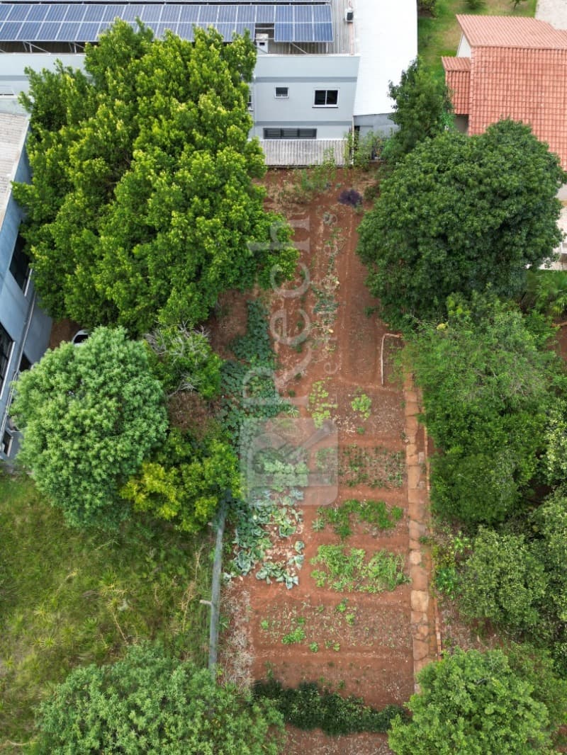 Foto 5 de 9: Terreno em leilão em Tio Hugo - RS — LOTE 001 TERRENO URBANO, ENCRAVADO, COM ÁREA DE 583,33M², EM TIO HUGO/RS