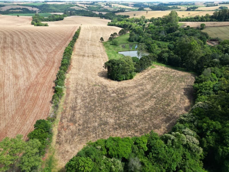 Foto 3 de 7: Area Rural em leilão em Colorado - RS — LOTE 001 UMA FRAÇÃO DE TERRAS DE CULTURA, com a área superficial de 40.600,m² (quarenta mil e seisce